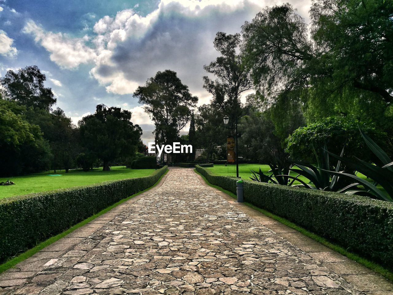 FOOTPATH AMIDST PLANTS IN PARK