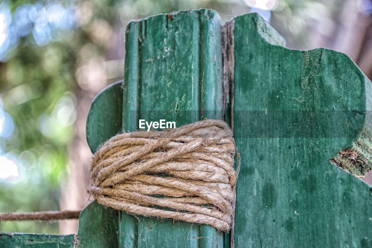 Close-up of wood