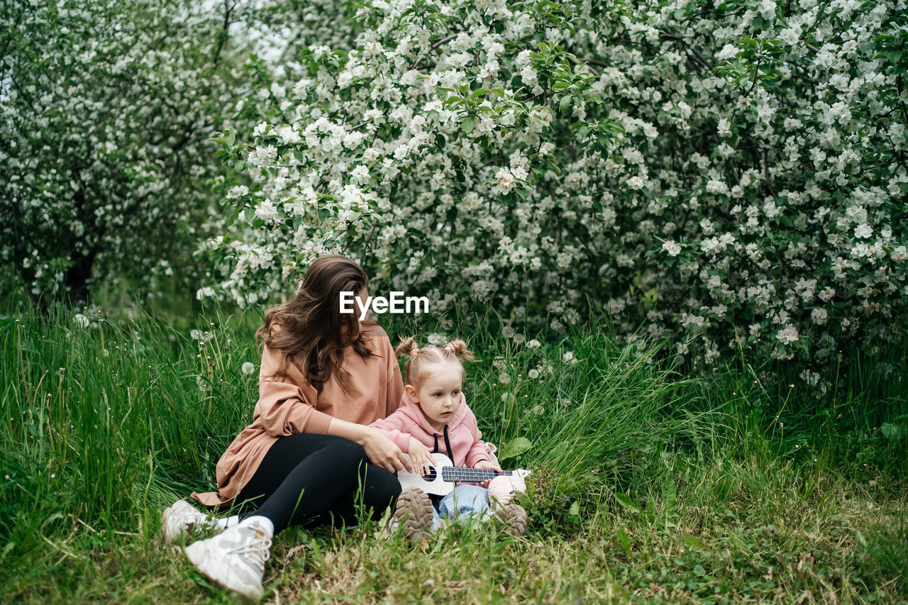 Young mother and baby daughter play the ukulele in a blooming apple orchard in nature