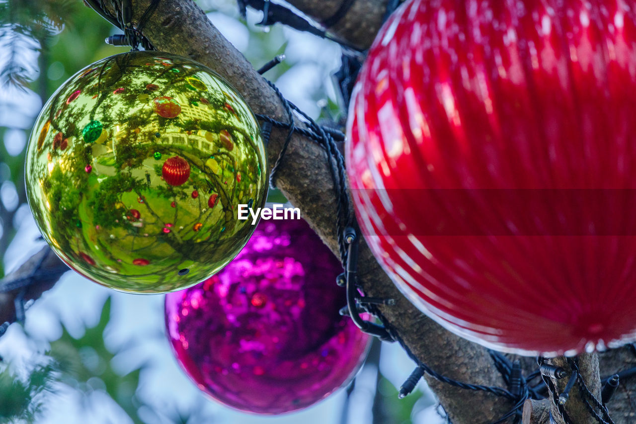 celebration, decoration, flower, no people, close-up, plant, macro photography, tree, nature, tradition, holiday, red, hanging, multi colored, food, outdoors, focus on foreground, day, food and drink