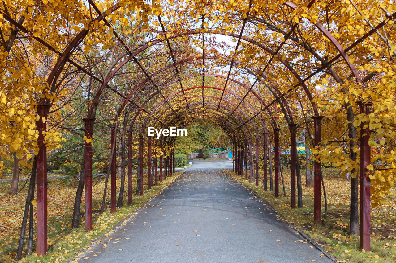 Footpath amidst trees in park during autumn