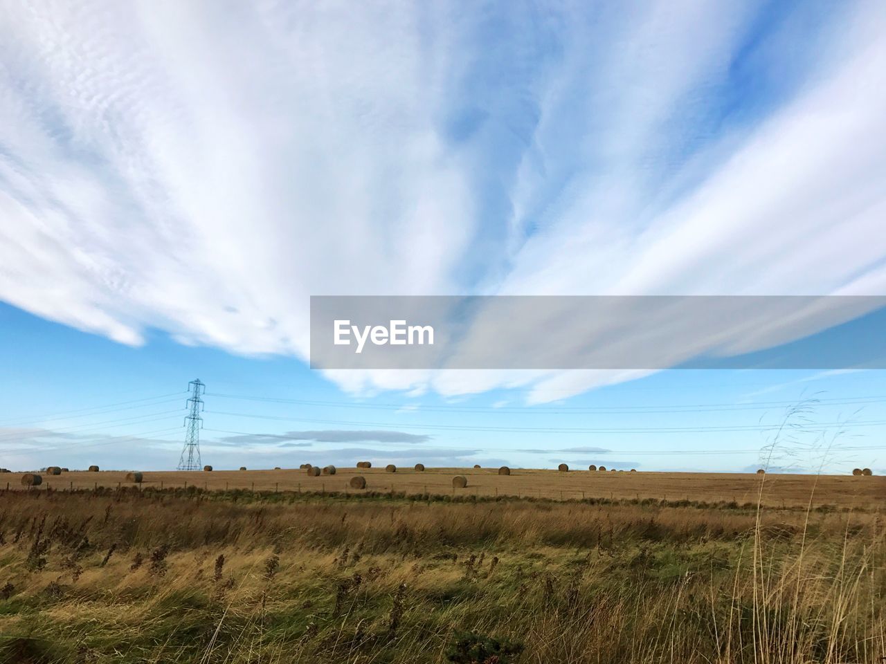 FIELD AGAINST BLUE SKY