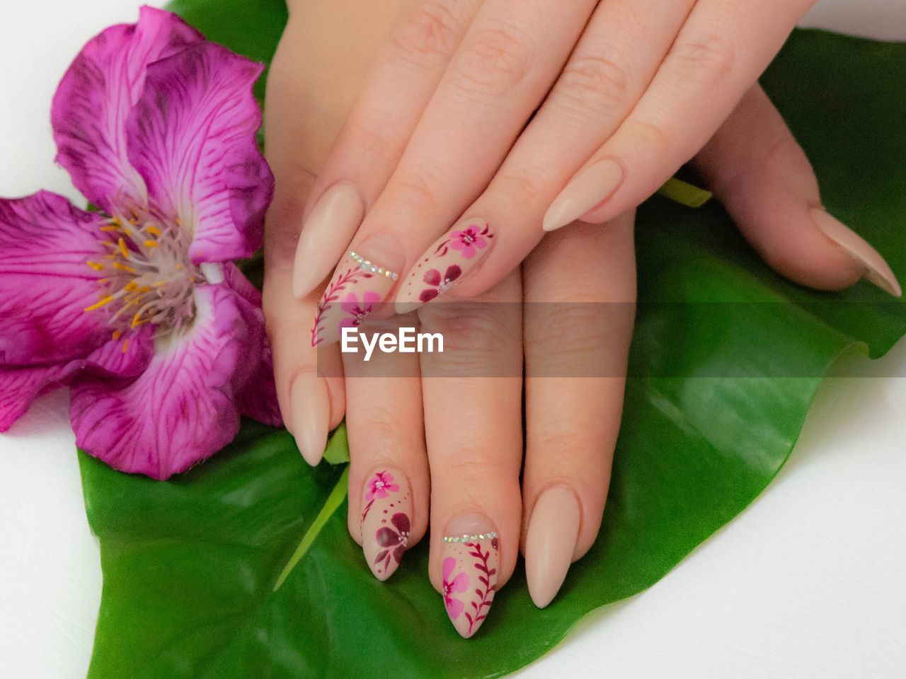 Cropped hands of woman with pink nail polish on leaf