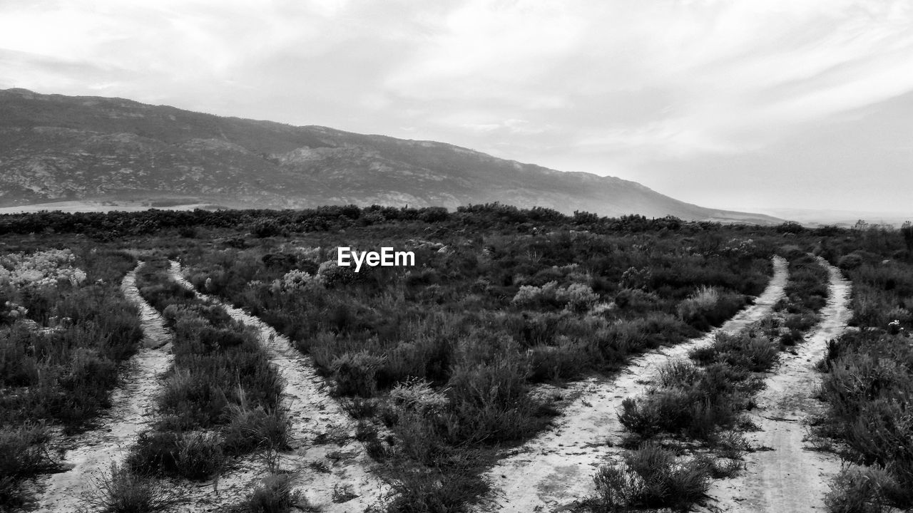 Scenic view of landscape against cloudy sky