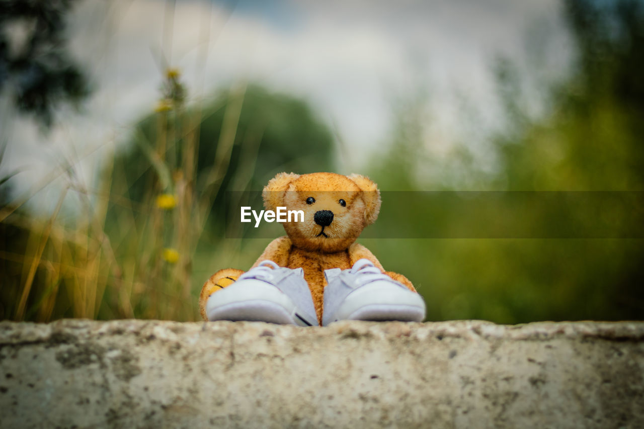 Teddy bear with shoes on concrete