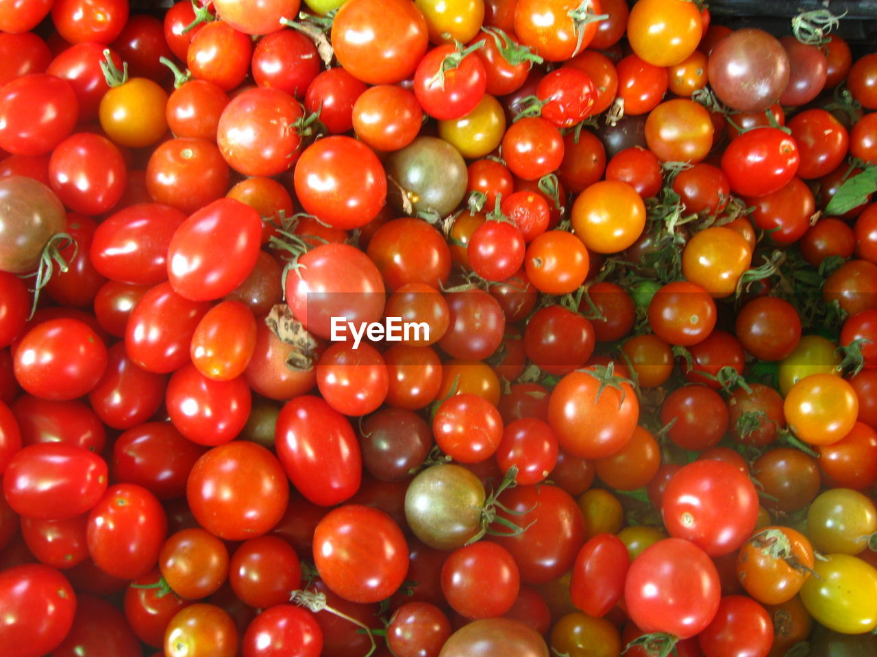 FULL FRAME SHOT OF CHERRIES