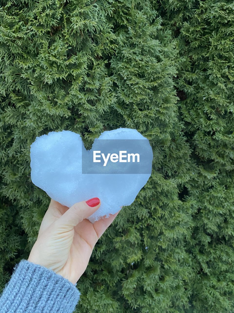 CROPPED IMAGE OF WOMAN HOLDING HEART SHAPE OF TREE