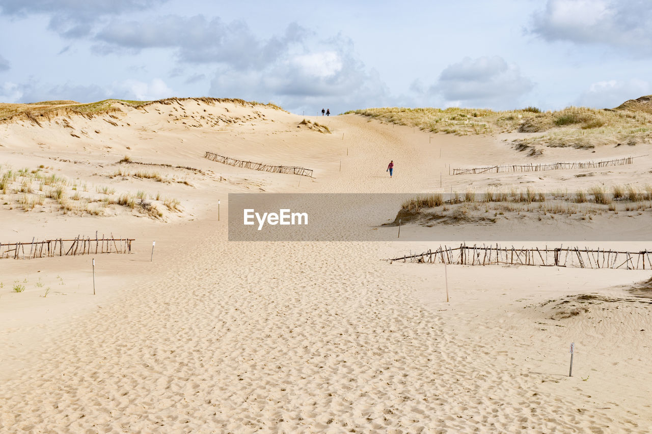 Tourists in wonderful nagliai nature reserve in neringa, lithuania. dead dunes, sand hills 