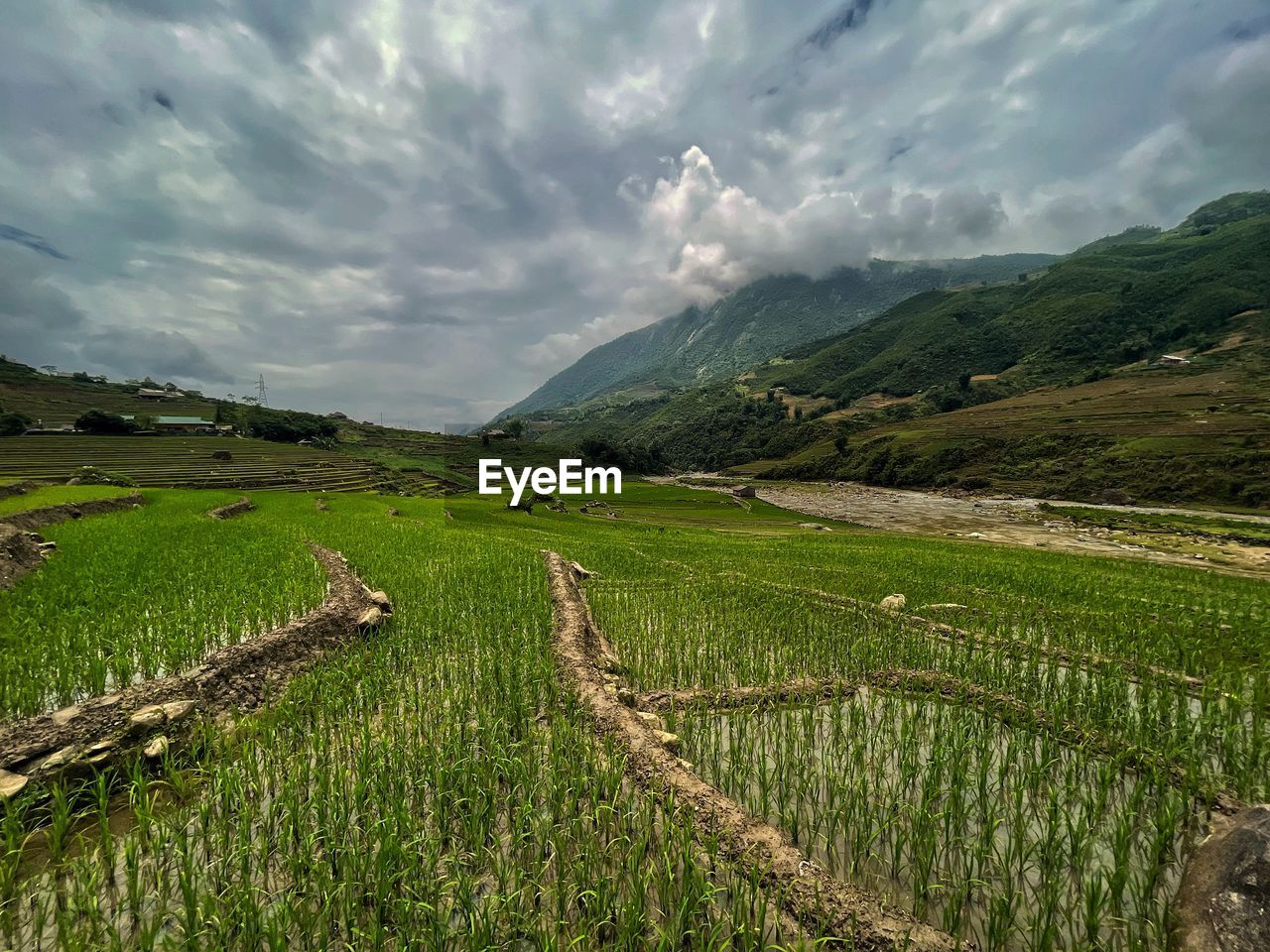 landscape, environment, land, rural scene, agriculture, cloud, scenics - nature, sky, field, plant, nature, mountain, crop, beauty in nature, farm, green, grass, social issues, rural area, grassland, paddy field, valley, food and drink, environmental conservation, rice paddy, highland, no people, food, rice, travel, meadow, growth, tranquility, mountain range, outdoors, water, rice - food staple, travel destinations, cereal plant, tranquil scene, plain, plateau, overcast, tourism, tree, dramatic sky, flower