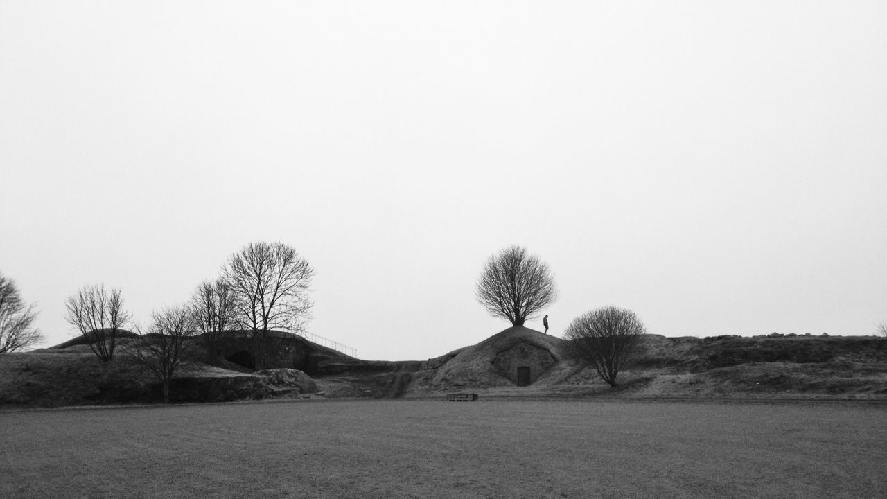 Bare trees on hills against clear sky