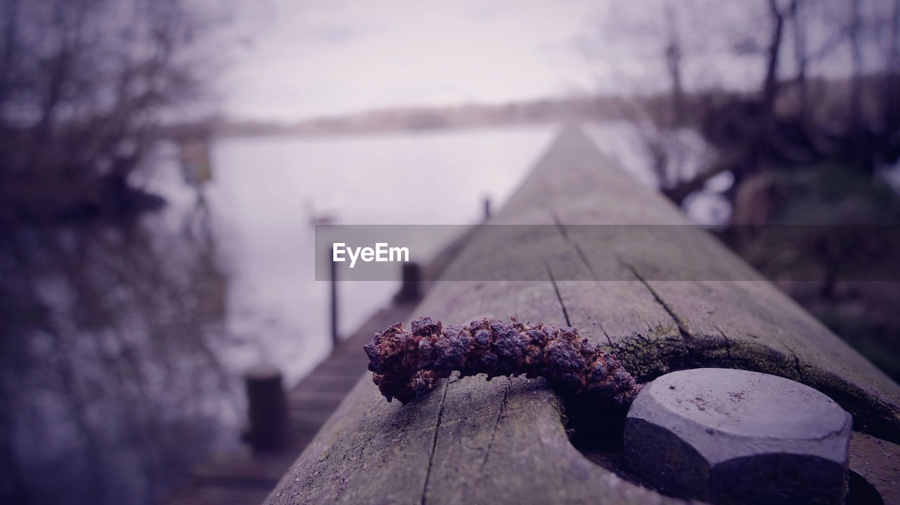 Close-up of twig by bolt on wooden railing against lake