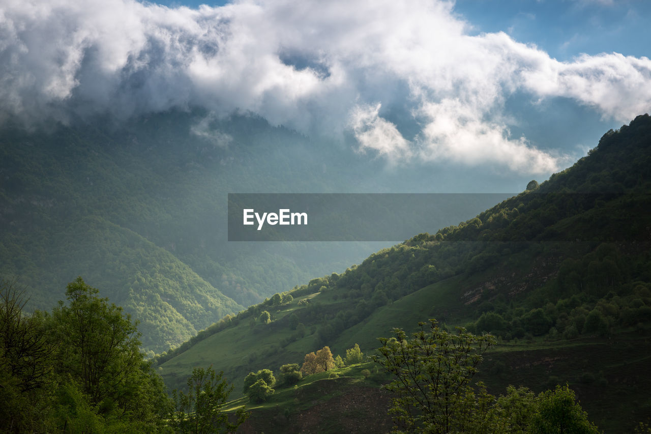 Beautiful green forests in the mountainsides. scenic view of mountains against sky