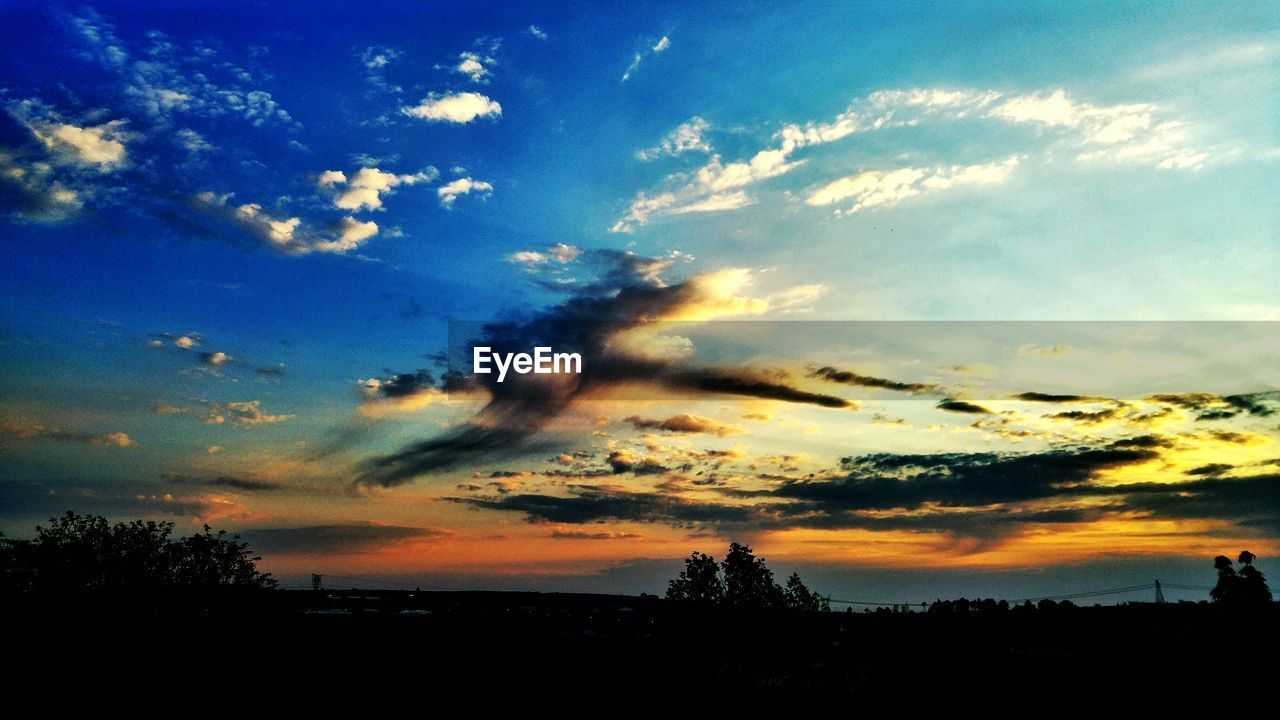 LOW ANGLE VIEW OF SILHOUETTE TREE AGAINST DRAMATIC SKY