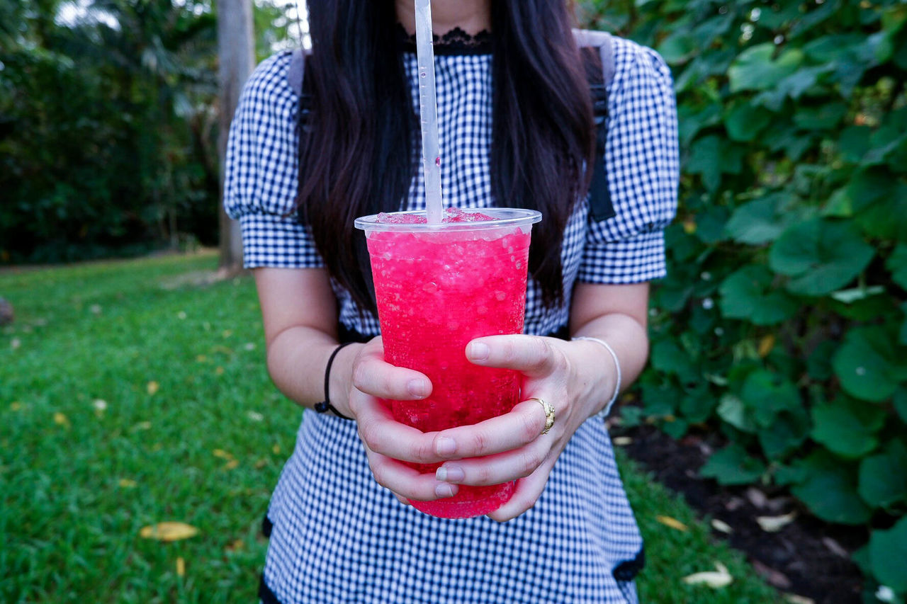 Midsection of young woman holding slush while standing against plants in park