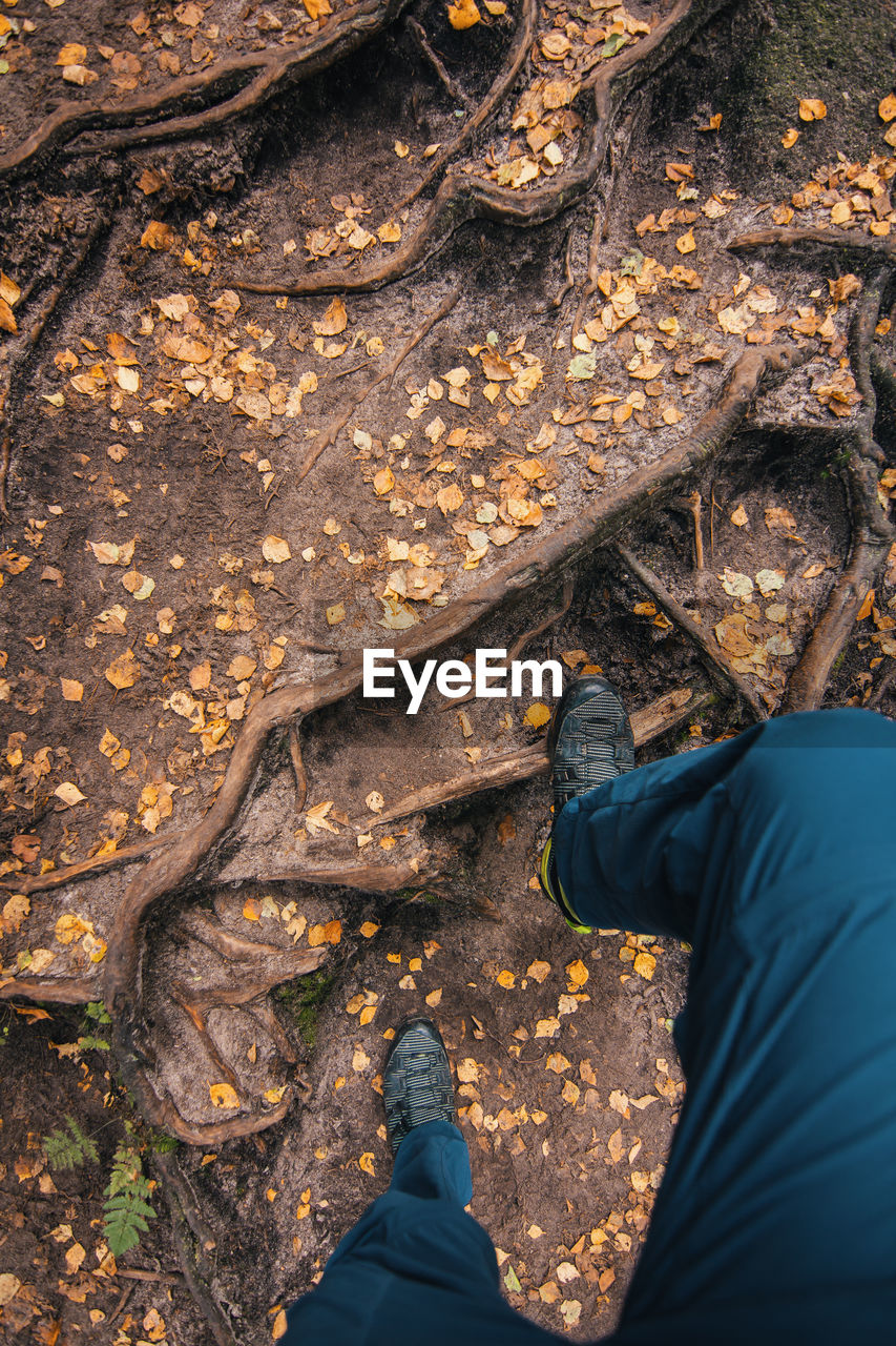 LOW SECTION OF MAN STANDING IN AUTUMN