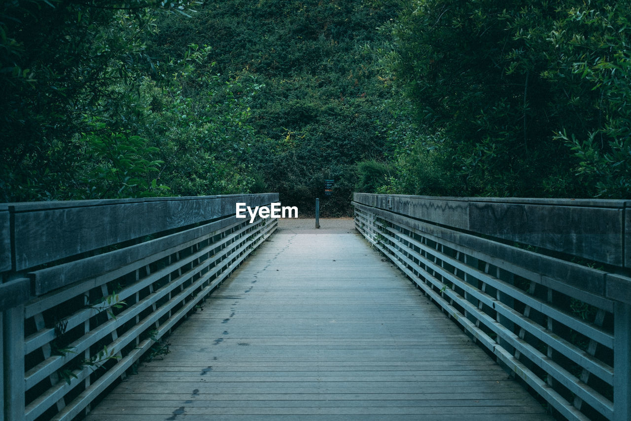 Footbridge leading towards forest