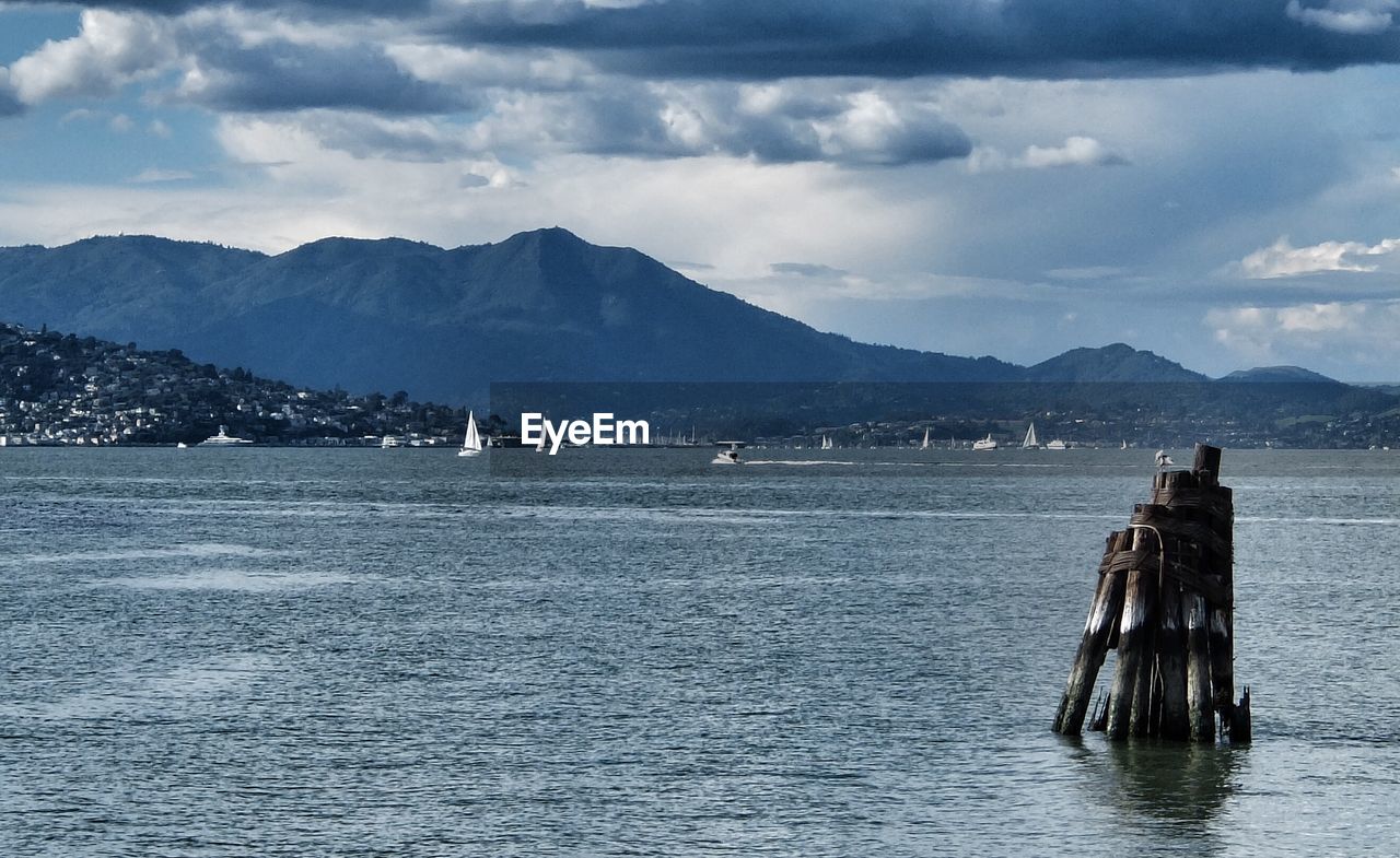 Old wooden posts in lake with mountains in background