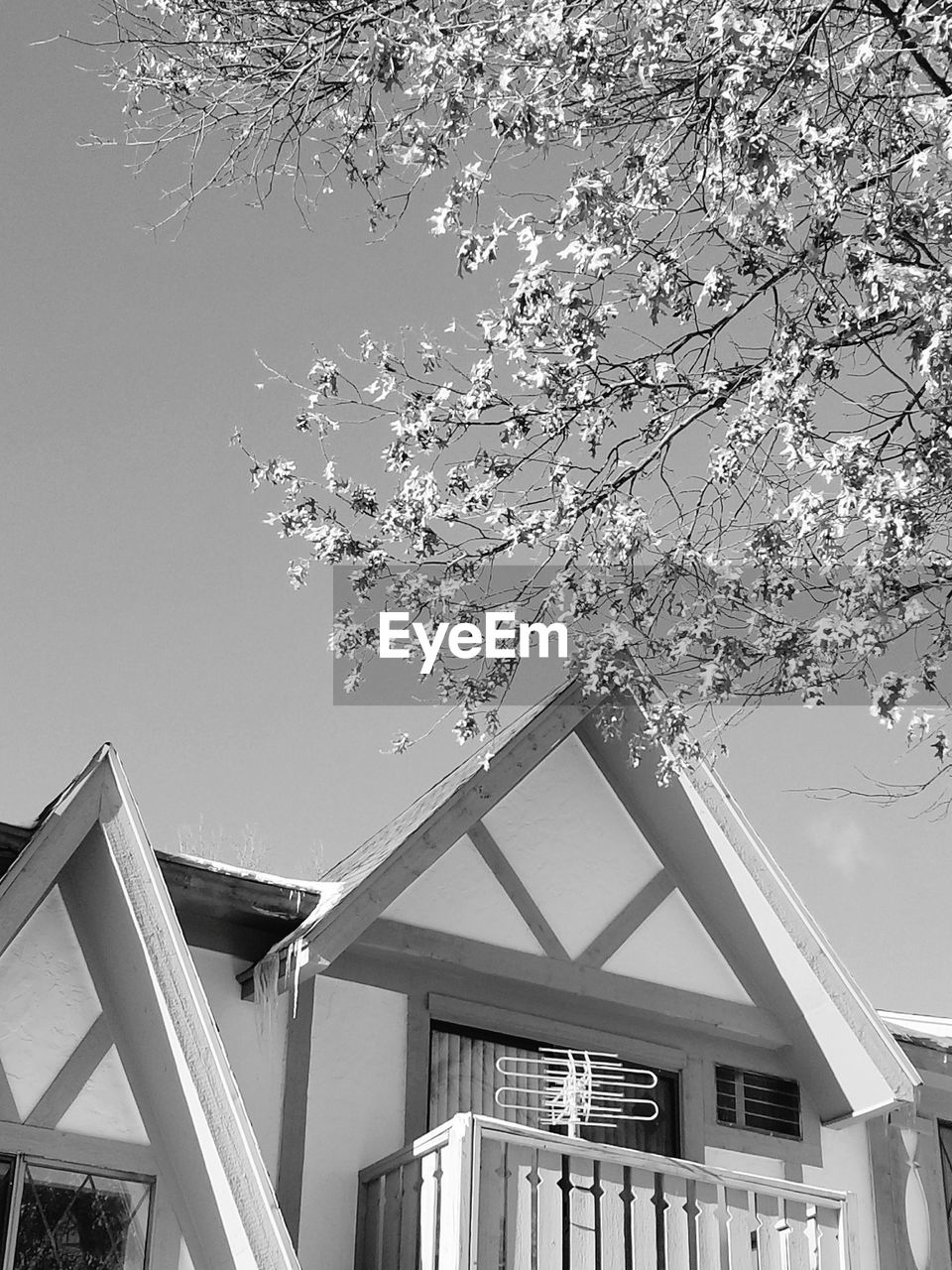 LOW ANGLE VIEW OF BUILT STRUCTURE AGAINST THE SKY