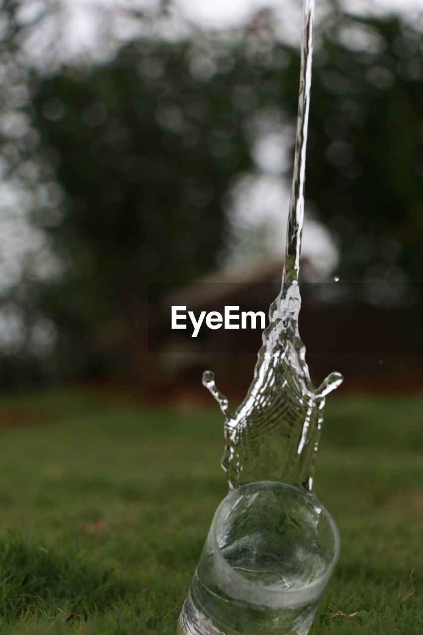 Close-up of water drop falling on field