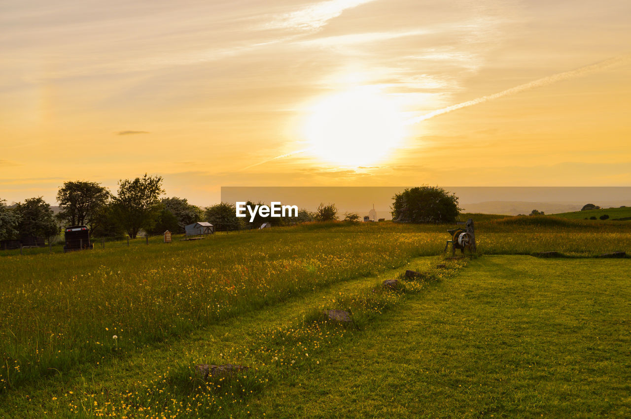 SCENIC VIEW OF GRASSY FIELD AGAINST SKY AT SUNSET