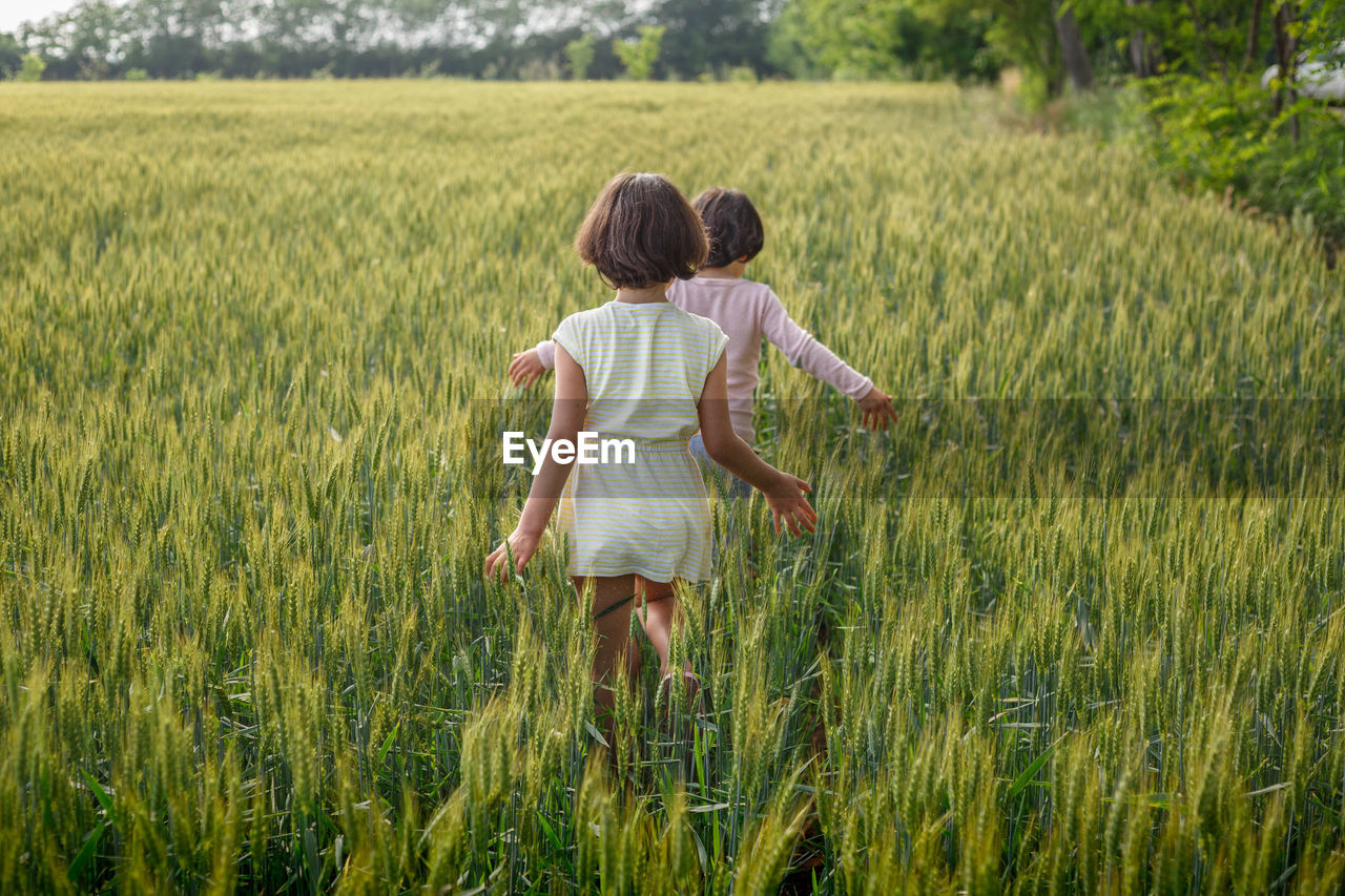 Back view of two girls with short dark hair walking away in wheat field