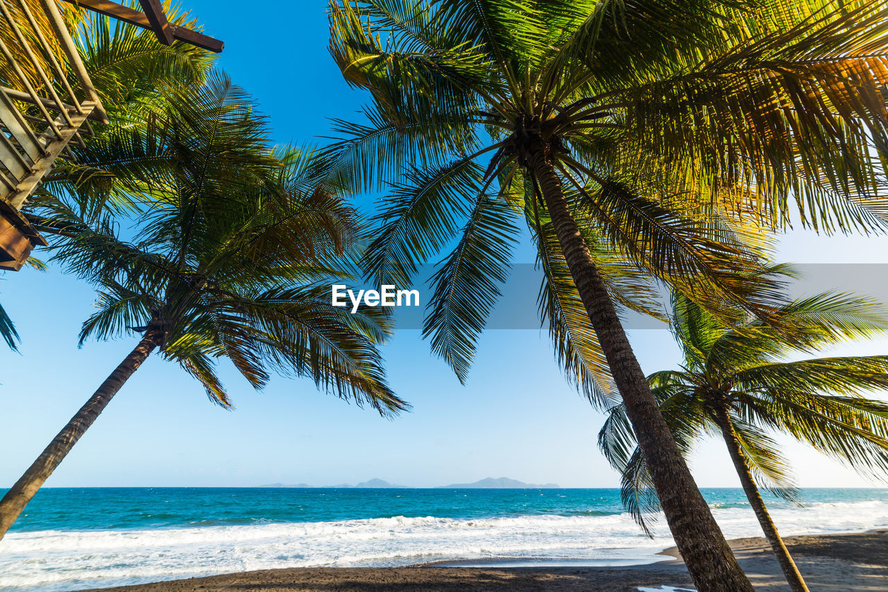 PALM TREES AT BEACH AGAINST SKY