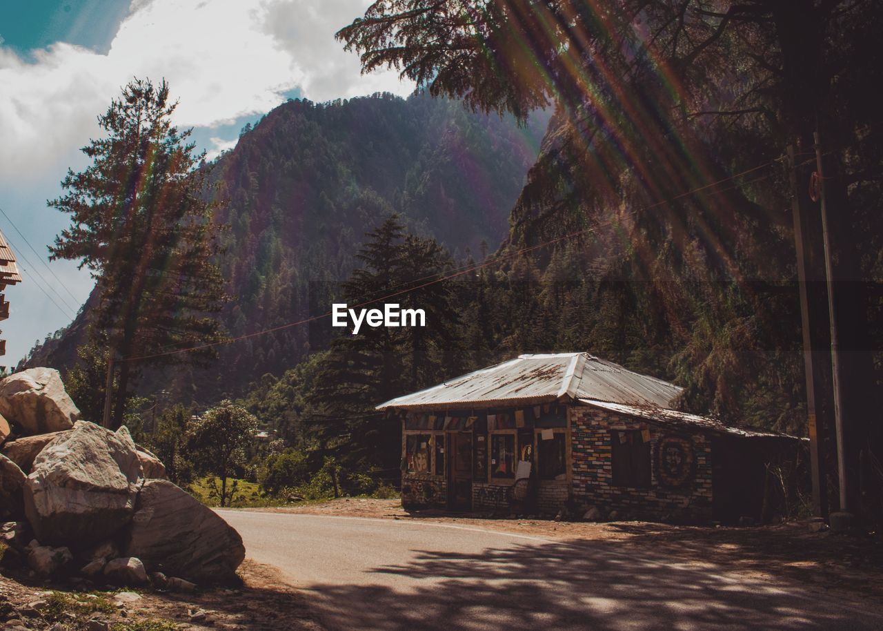 SCENIC VIEW OF TREES BY ROCKY MOUNTAINS