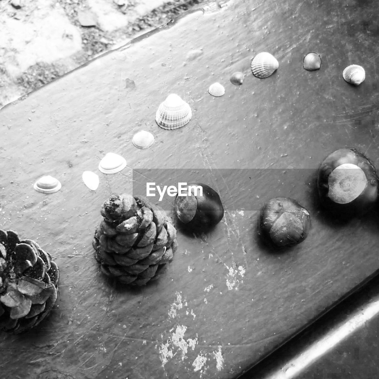 Close-up of pinecones with chestnuts and seashells on table