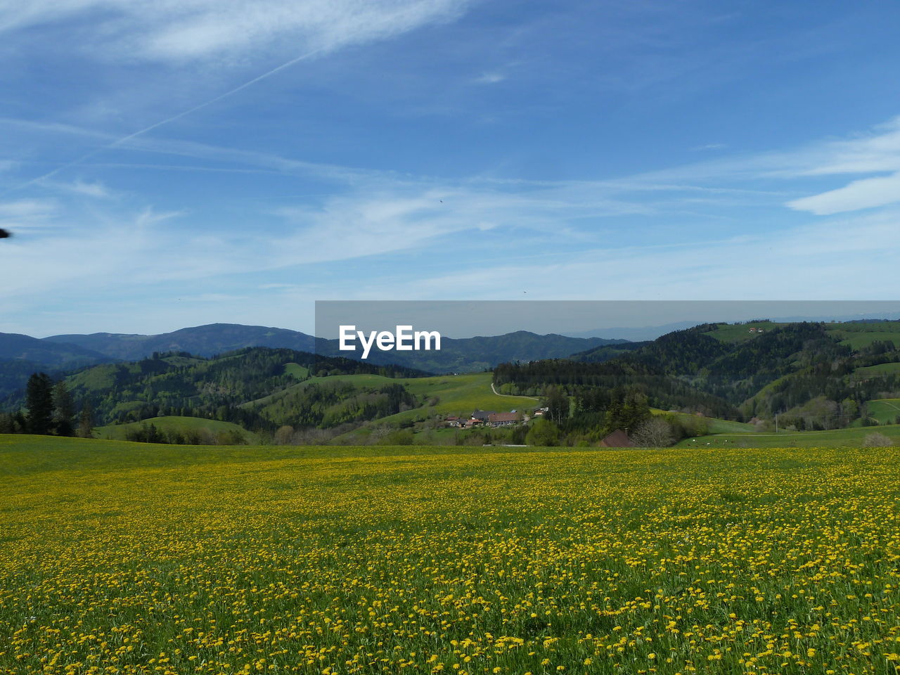 SCENIC VIEW OF GREEN FIELD AGAINST SKY