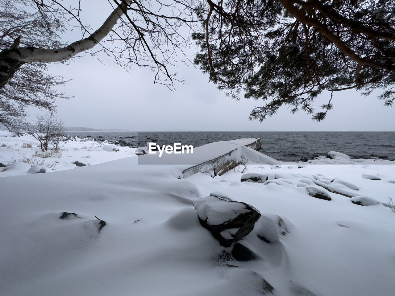 winter, cold temperature, snow, tree, environment, scenics - nature, landscape, nature, beauty in nature, plant, freezing, water, land, tranquility, frozen, tranquil scene, sky, travel, no people, forest, non-urban scene, travel destinations, ice, outdoors, branch, white, tourism, day, lake, mountain, rural scene, polar climate, coniferous tree, pinaceae, fog, idyllic, holiday, woodland, blizzard