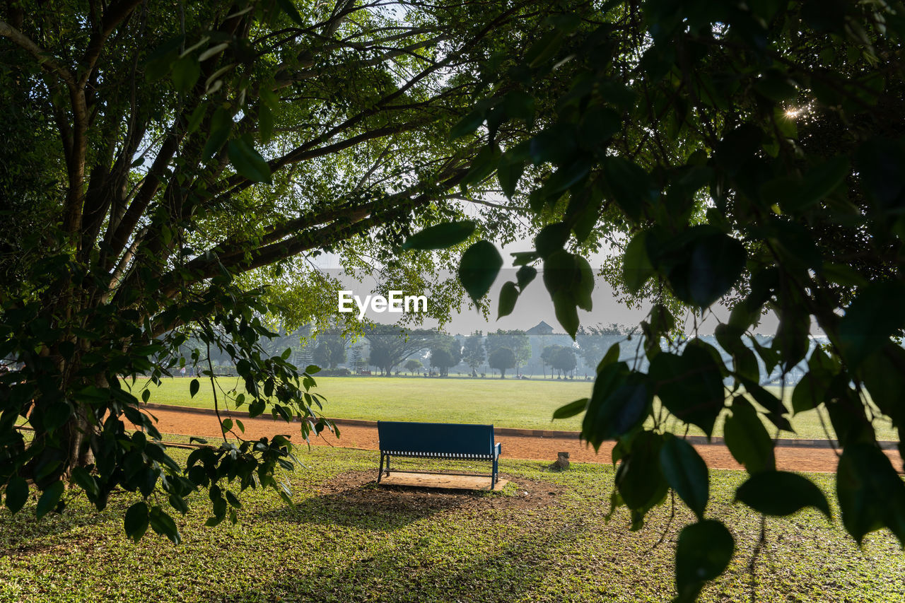 plant, tree, green, leaf, nature, growth, sunlight, beauty in nature, seat, bench, flower, tranquility, autumn, land, no people, scenics - nature, branch, day, plant part, tranquil scene, grass, shadow, outdoors, park, field, landscape, tree trunk, park - man made space, sky, trunk, rural area, environment