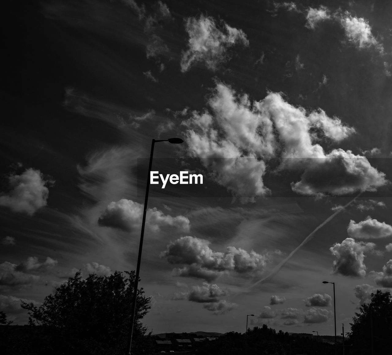 Low angle view of trees against sky