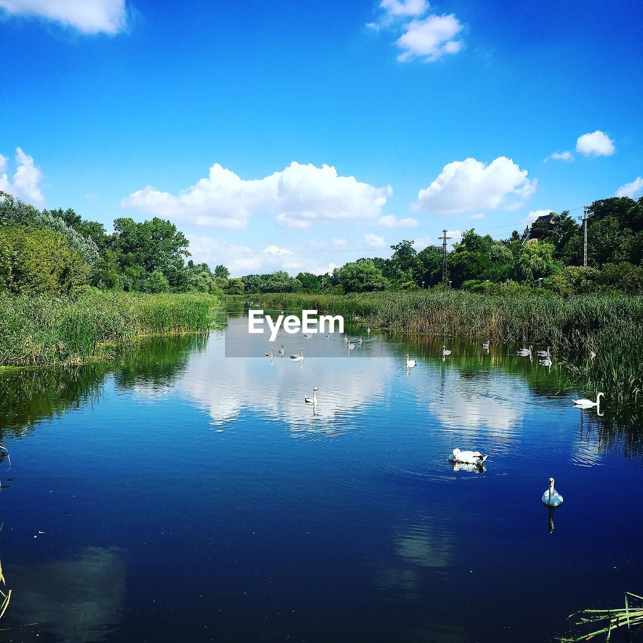 SCENIC VIEW OF LAKE AND TREES AGAINST BLUE SKY