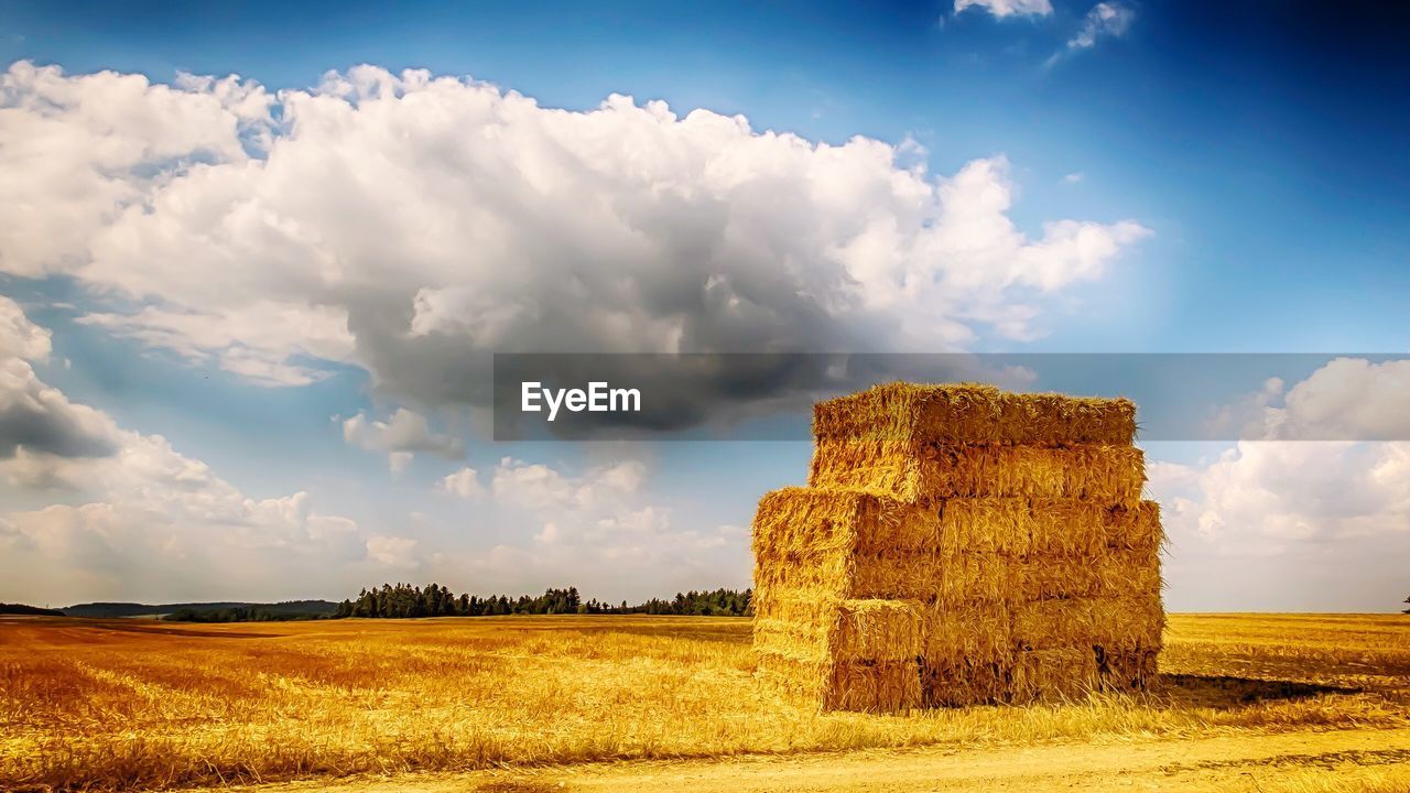 SCENIC VIEW OF FARM AGAINST SKY