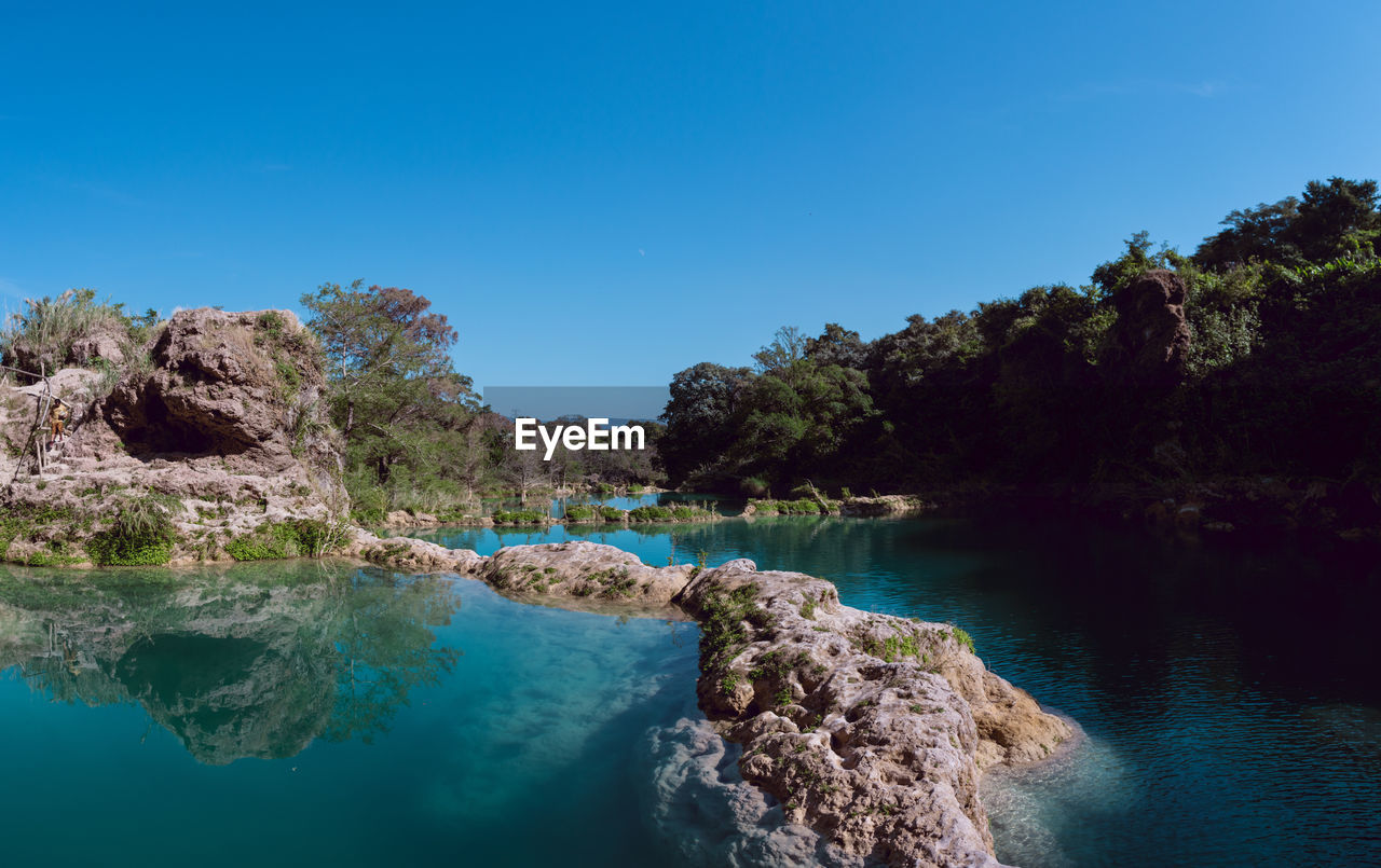 Scenic view of trees against clear blue sky