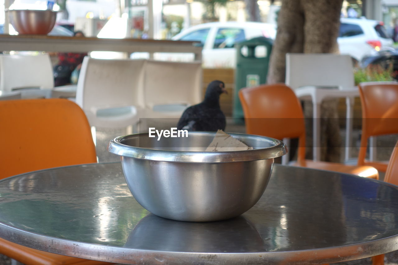 CLOSE-UP OF BIRD IN BOWL