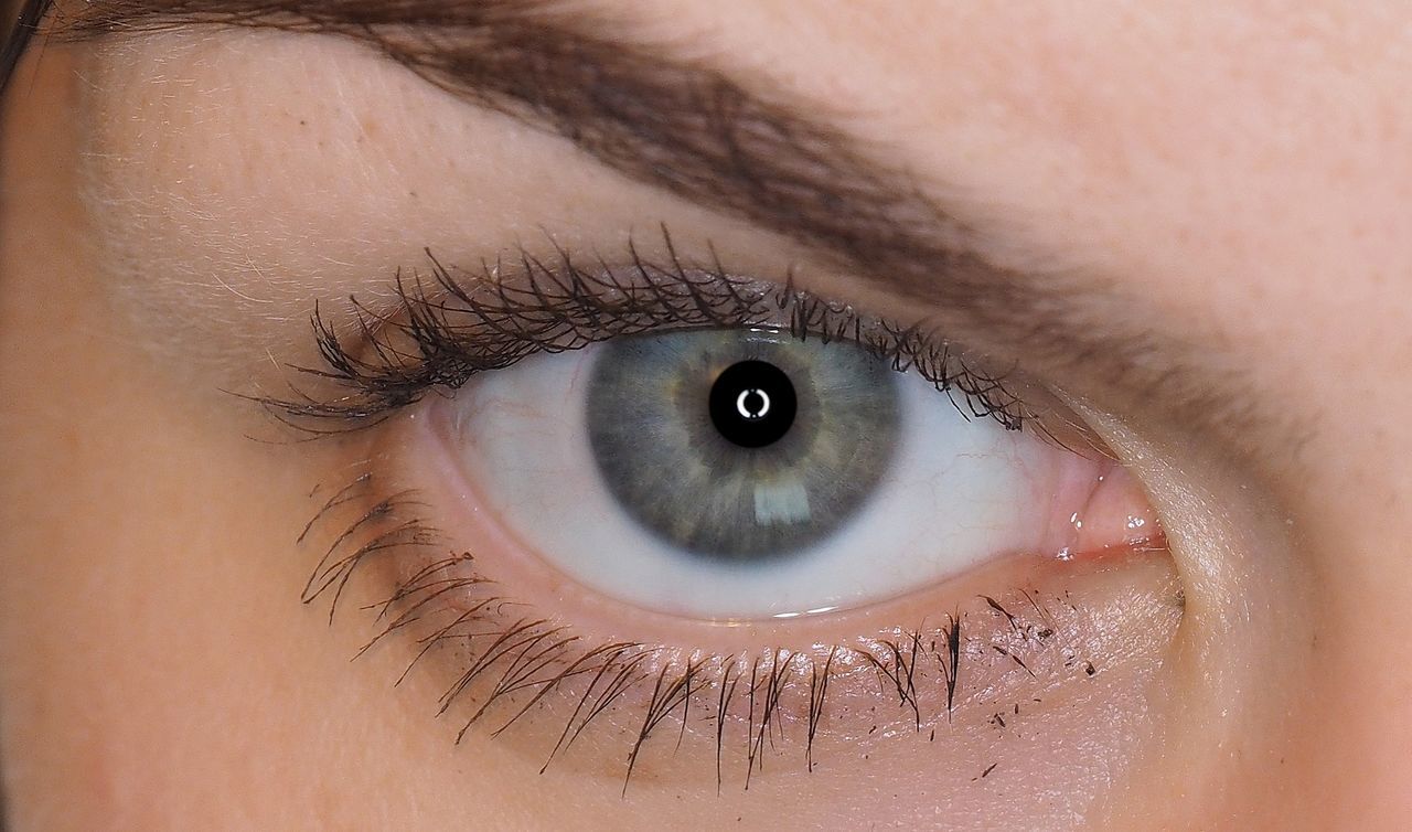 Close-up of gray eye
