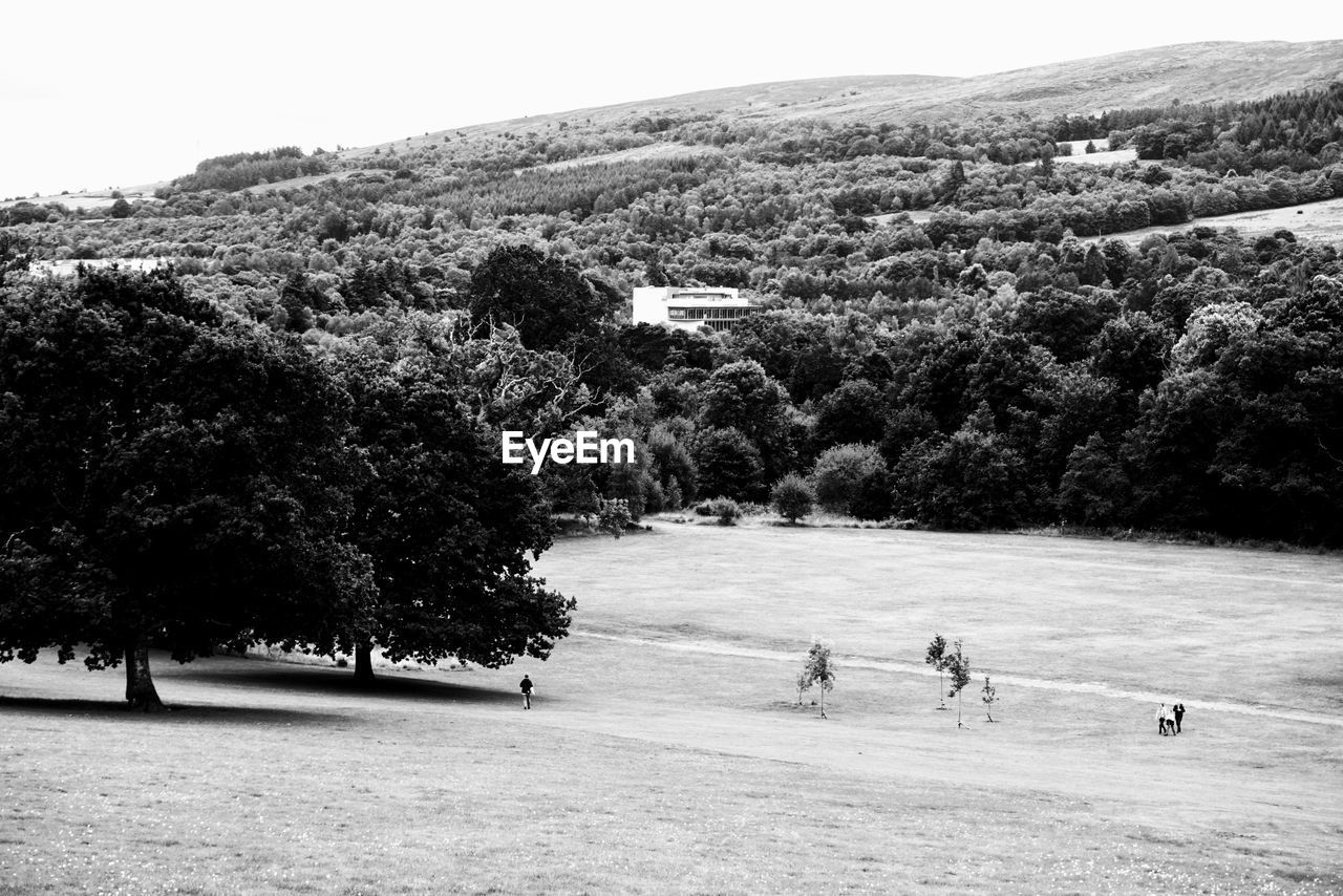 tree, plant, black and white, monochrome, monochrome photography, nature, group of people, day, leisure activity, men, snow, sports, lifestyles, adult, sky, mountain, land, women, beauty in nature, outdoors, growth, white, scenics - nature, togetherness