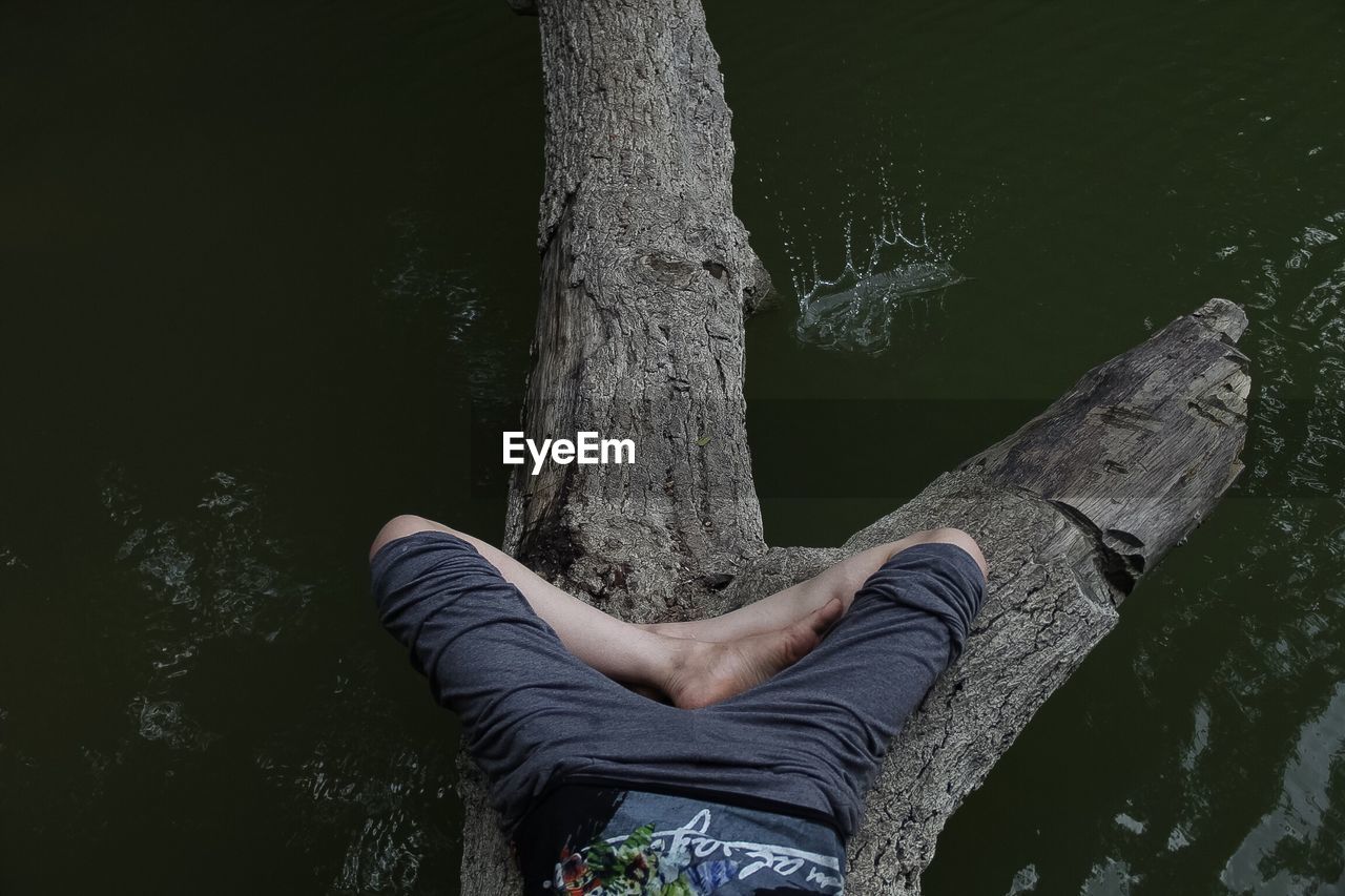 Low section of man sleeping on tree above lake