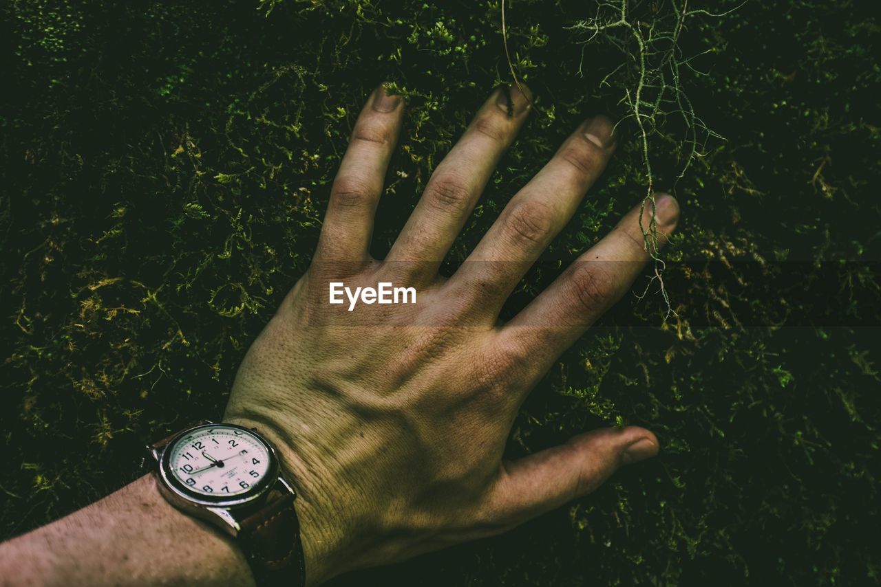 Close-up of hand on field