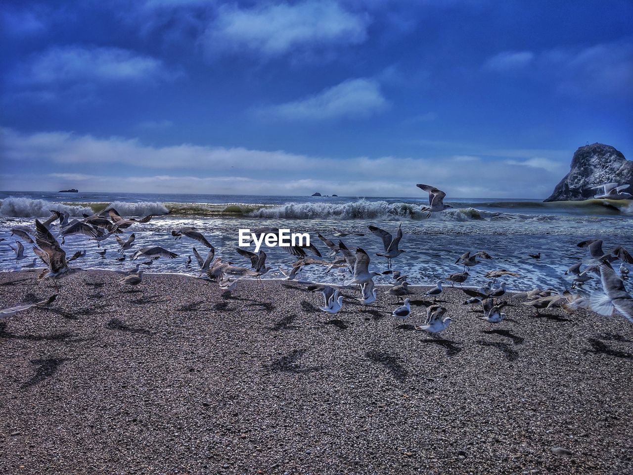 Scenic view of seagulls and sea against sky