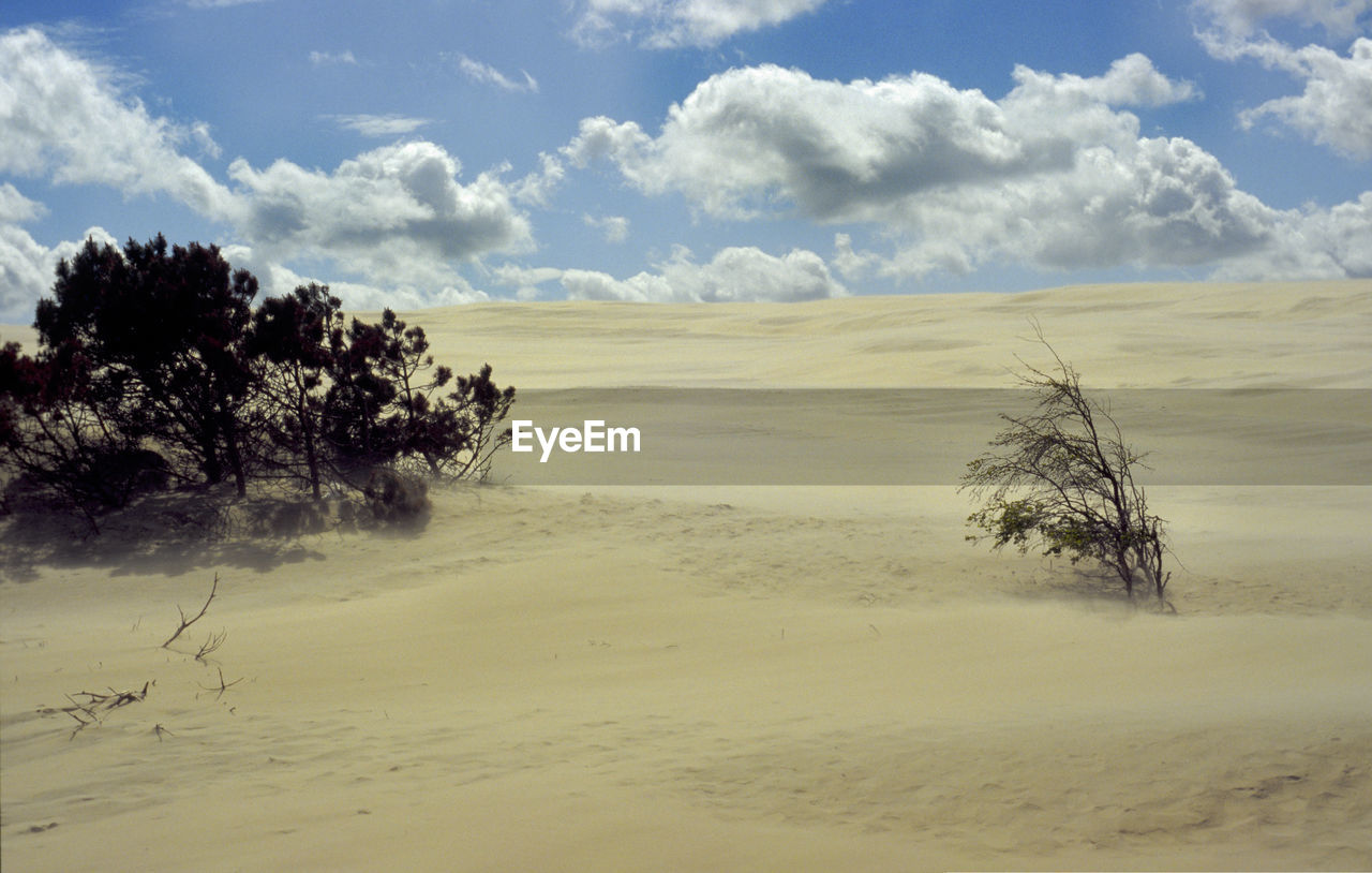 Scenic view of desert against sky