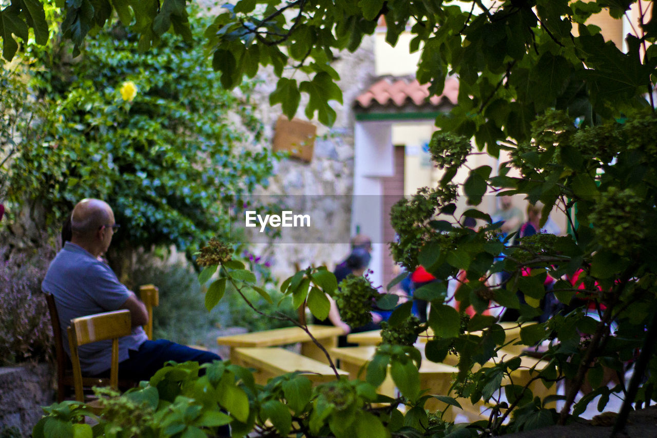 REAR VIEW OF MAN SITTING BY PLANTS AGAINST BUILDING