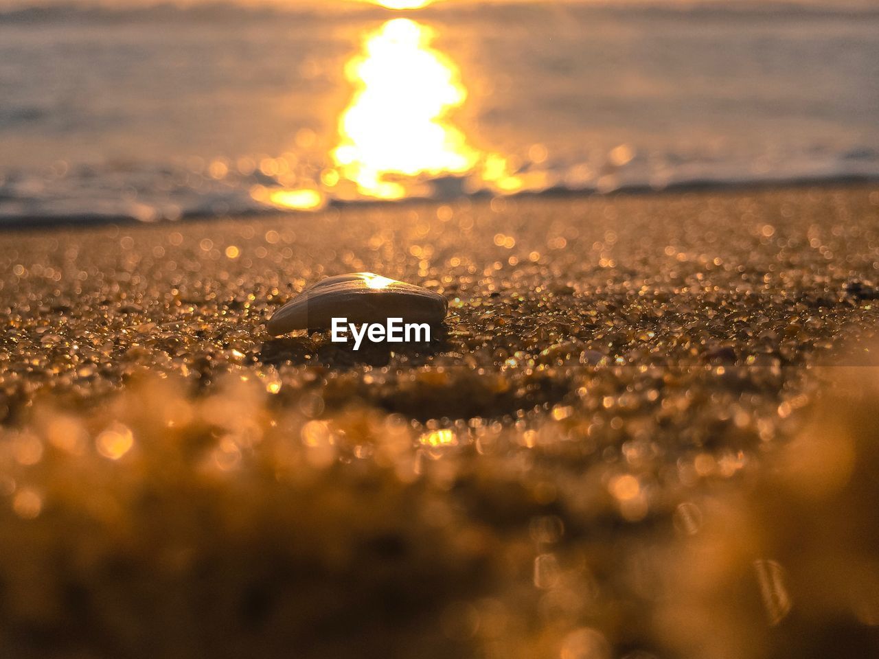 CLOSE-UP OF BEACH AT SUNSET