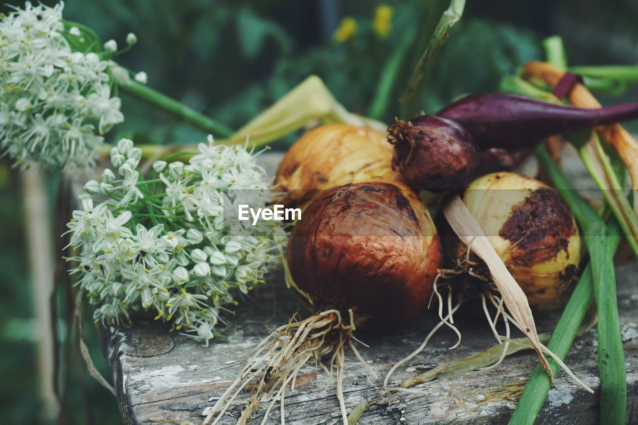 Close-up of raw onions with flowers on old table