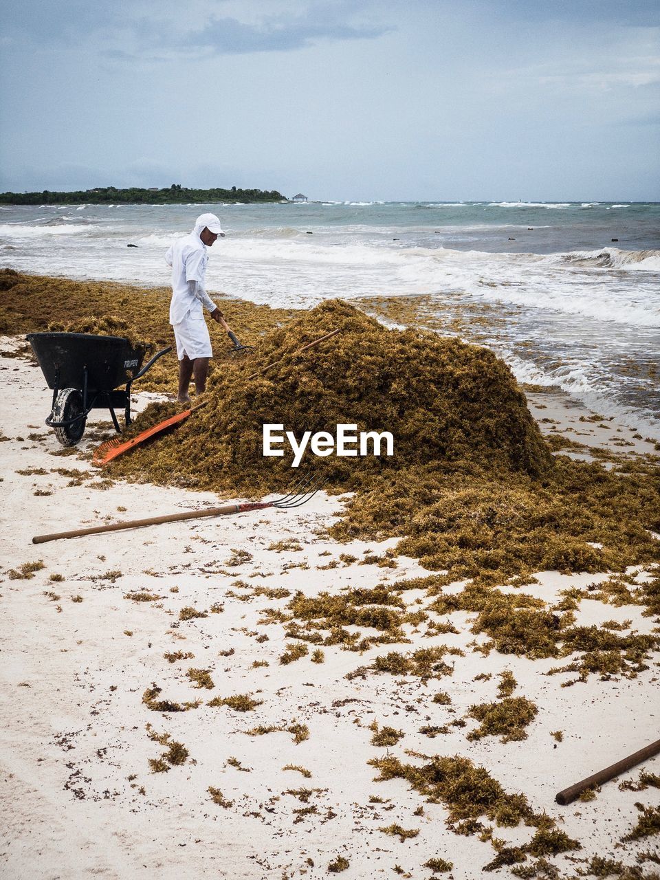 Man cleaning moss at beach against sky