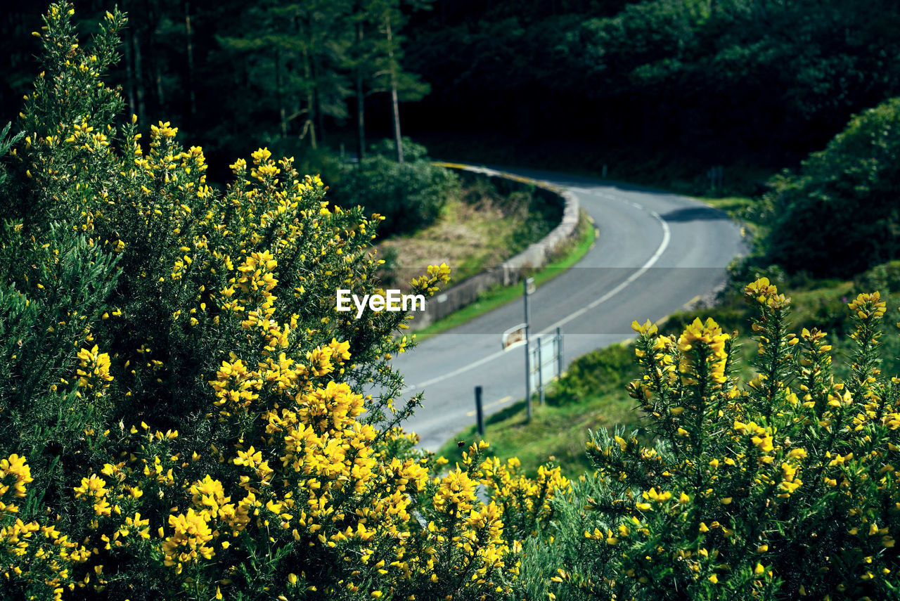 High angle view of curved road