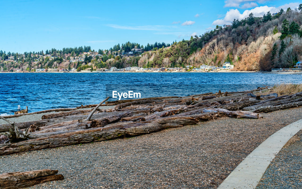 shore, water, sea, sky, coast, land, nature, tree, body of water, scenics - nature, beach, beauty in nature, no people, travel destinations, plant, travel, day, rock, environment, tranquility, blue, bay, tranquil scene, transportation, vacation, landscape, outdoors, mountain, pinaceae, coniferous tree, reservoir, ocean, coastline, cloud, forest, pine tree, tourism, non-urban scene, sunlight, idyllic