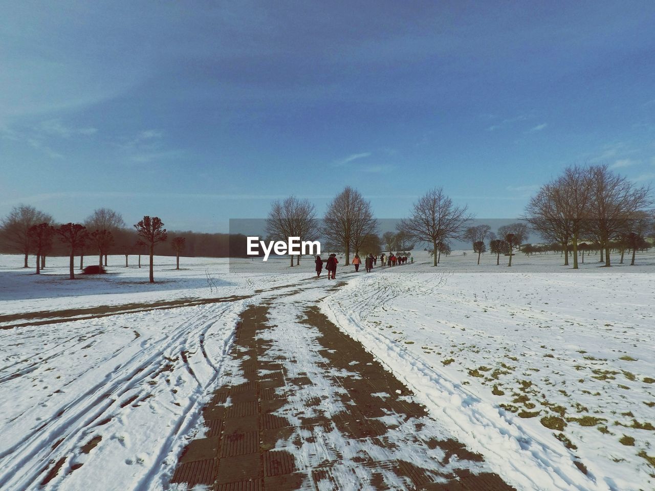 SNOW COVERED LAND AND TREES AGAINST SKY