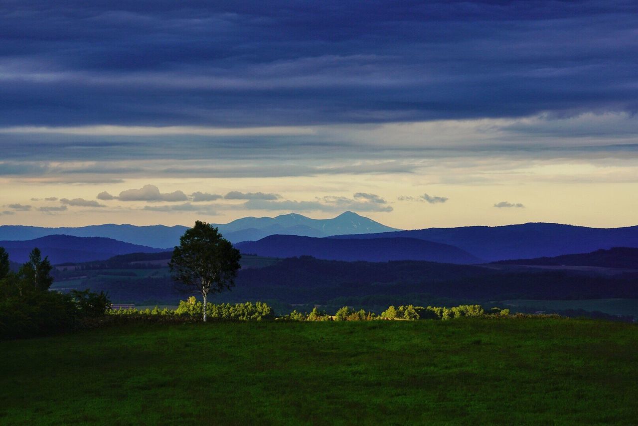 Scenic view of field against sky during sunset